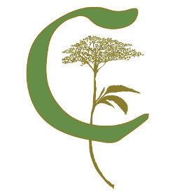 The Corson Building Logo