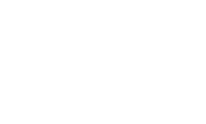 Duane Park Logo