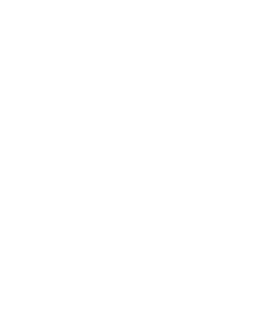 MAYDAN Logo
