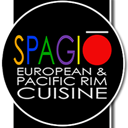 SPAGIO Logo