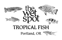 The Wet Spot Tropical Fish Logo