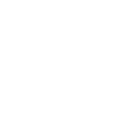 Warren 77 Logo